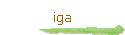 iga